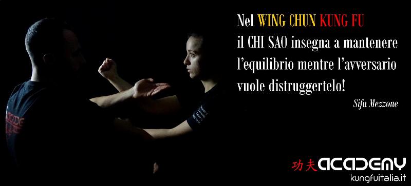 Kung Fu Academy Caserta di Sifu Salvatore Mezzone Accademia di Wing Chun e Tai Chi Quan (1)